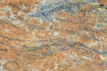 Natural stone with a beautiful texture in Canadian forest in Quebec, Lanaudière region