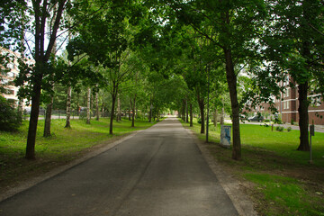 Fototapeta na wymiar road in the park