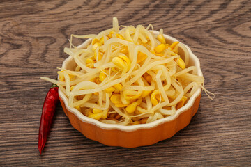 Soy sprout heap in the bowl