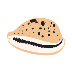 Seashell Cypraea tigris isolated on white background, vector eps 10