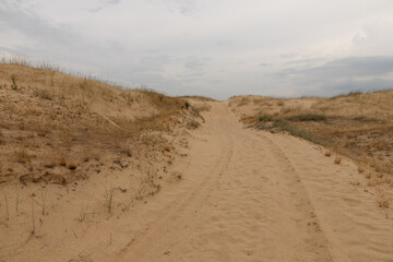 Fototapeta na wymiar Car tracks in the sand