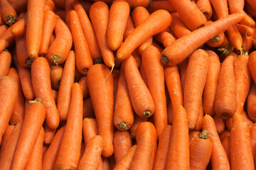 carrots close up