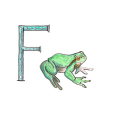 Hand drawn ABC. Education concept illustration. Letter F. 