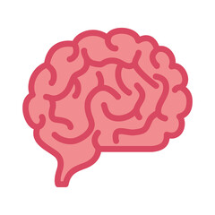 neurology, brain human on white background vector illustration design