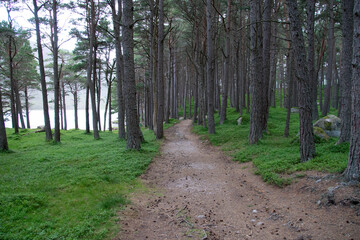 Landscapes from Loch Muick, Scotland.