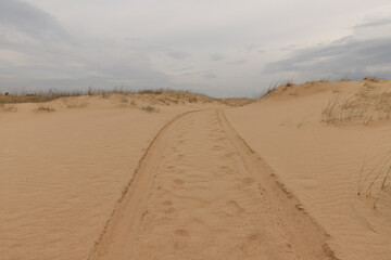 Car tracks in the sand