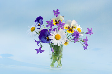 a bouquet of wild flowers stands in a vase on a blue background. Chamomile, bell, pansies. soft focus, horizontal photography, natural lighting. Concept postcard.