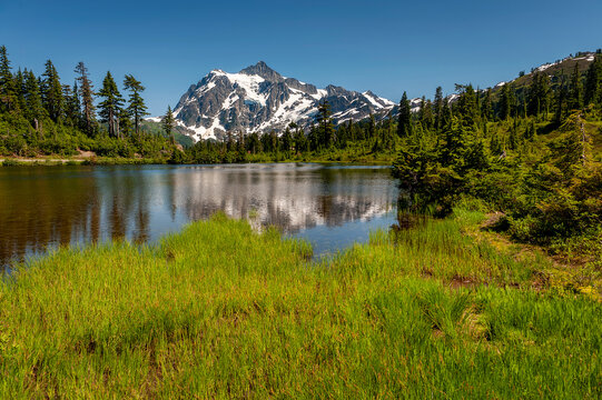 Picture Lake with Mount Shuksan in the Background. This Lake is the centerpiece of a strikingly beautiful landscape in the Heather Meadows area of the Mt. Baker recreation area.