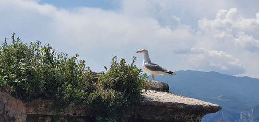 discovering the wonders of lake garda
