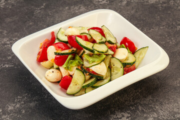 Salad with vegetables and mozzarlla