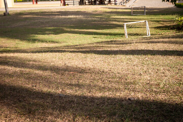 Grass burnt by the sun
