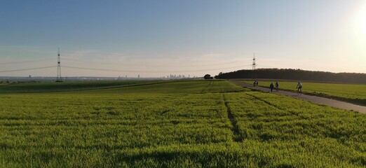 Saftig grünes Feld