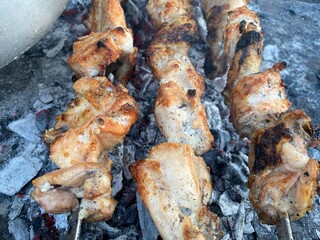grilled chicken on the grill