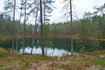 Forest and a lake in a national park in East-Finland