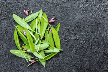 a pile of fresh medicinal sage leaves on a wooden background top view. leaves and flowers of fresh medicinal sage lay flat. sage and copy space. layout with fresh sage leaves.