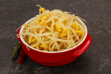 Soy sprout heap in the bowl