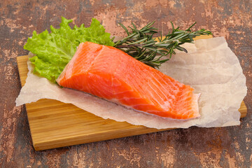 Piece of raw salmon