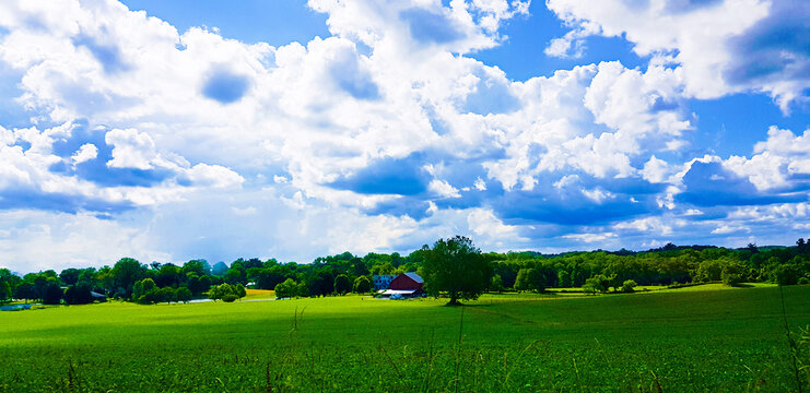 green field and blue sky © Prady