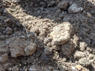 close up of a rock