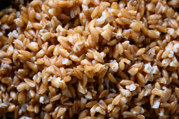 Cooked whole grain hot cereal spelt. Texture. Abstract background. Close up.