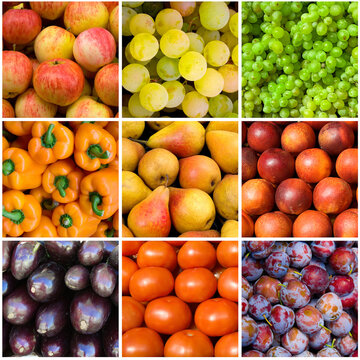 Assorted fruit arranged into squares