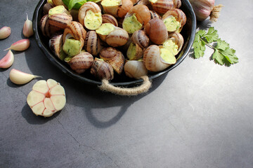 Escargots de Bourgogne. Snails prepared for cooking with garlic, butter and basil. French traditional food. Top view. Copy space. Close up.
