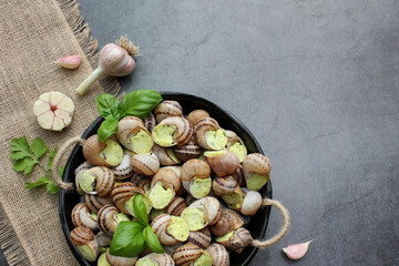 Escargots de Bourgogne. Snails prepared for cooking with garlic, butter and basil. French traditional food. Top view. Copy space. Close up.