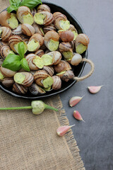 Escargots de Bourgogne. Snails prepared for cooking with garlic, butter and basil. French traditional food. Top view. Copy space. Close up.