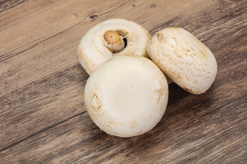 Raw Champignon heap for cooking
