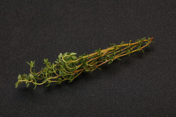 Aroma Fresh green thyme branch