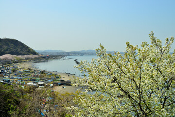 Fototapeta na wymiar 神奈川県横須賀市走水の風景
