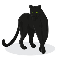 black Panther - vector illustration in cartoon style © Deno