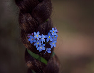 Naklejka premium girl's brown braid with spring blue flowers - forget me nots