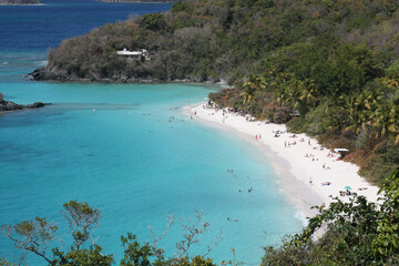 Fototapeta na wymiar White sand beach and turquoise water on St. John's, US Virgin Islands