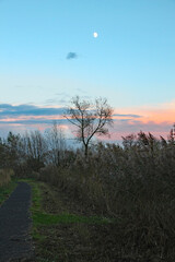 The moon in the sky just after sunset on the Somerset levels