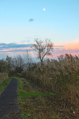 The moon in the sky just after sunset on the Somerset levels