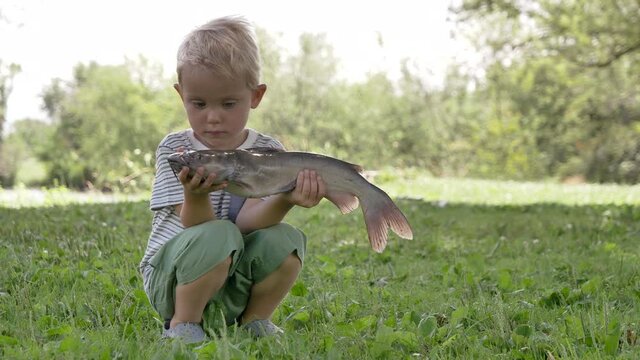 Child (little boy) holding a big fish (catfish) in his hand. Outdoors activities, fishing, catching fish concept.  Daytime, summer 
