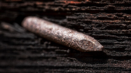 close up of an old rusty nail in the wooden board, Poland, Europe