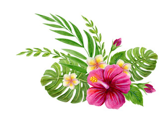 Hand drawn watercolor painting  with pink Hibiscus rose, plumeria flowers, monstera palm leaf and palm fronds  isolated on white background. Floral summer tropical ornament.