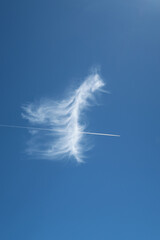 beautiful feathery cloud with plane contrail piercing directly through