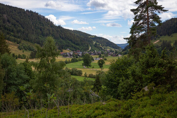 Fototapeta na wymiar Menzenschwander Geißenpfad Black Forest Schwarzwalk