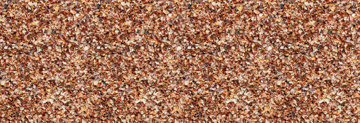 light brown shattered shells background beach tropical base design