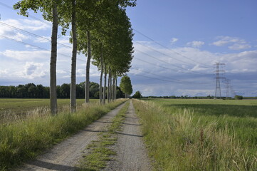 sentiero verde, movimento benessere