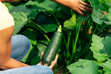 Farmer inspecting crops on rural farm