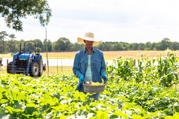 Woman picking vegetables from family garden