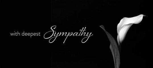 Sympathy card with calla flower isolated on black background