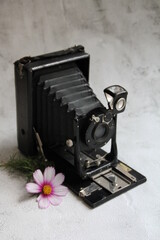 vintage photo camera