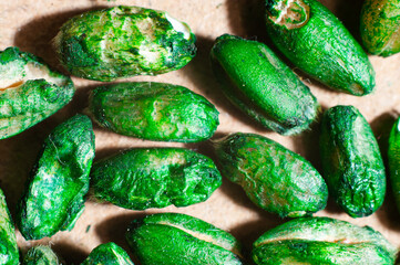 Poison green for pests of rats and mice, close-up