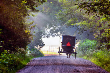 Amish Buggy on rural Indiana road in early morning.