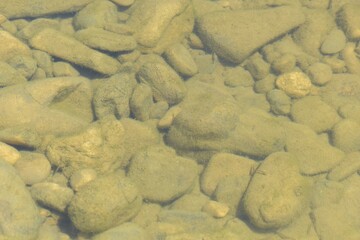 River bottom stones. 